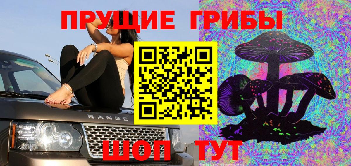 Кандалакша  Галлюциногенные грибы Psilocybine cubensis  Вход с VPN 